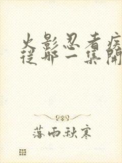 火影忍者疾风传从哪一集开始