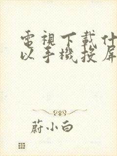 电视下载什么可以手机投屏