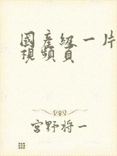 国产级一片内射视频页