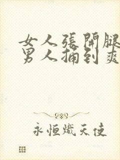 女人张开腿 让男人捅到爽