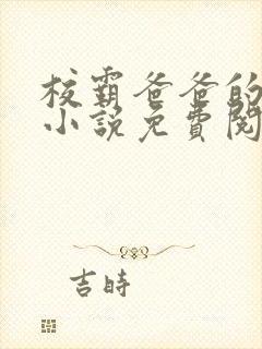 校霸爸爸的秘密小说免费阅读封面