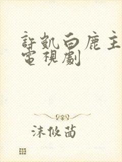 许凯白鹿主演的电视剧封面