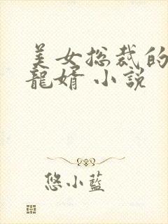 美女总裁的上门龙婿 小说