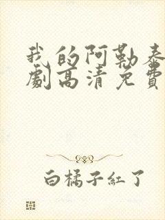 我的阿勒泰电视剧高清免费观看