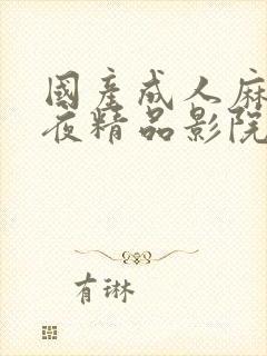 国产成人麻豆午夜精品影院游乐网