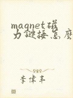 magnet磁力链接怎么打开