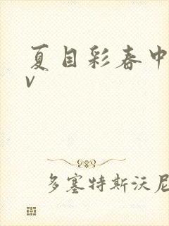 夏目彩春中文av