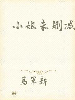 小姐未删减在线