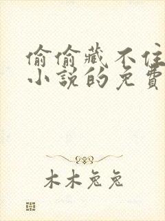 偷偷藏不住竹已小说的免费阅读