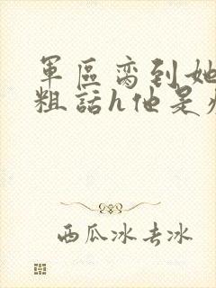 军区脔到她哭h粗话h他是疯批