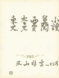 东岑西舅小说全文免费阅读正版