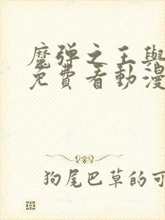 魔弹之王与战姬免费看动漫封面