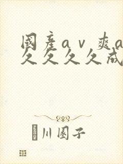 国产aⅴ爽av久久久久成人网