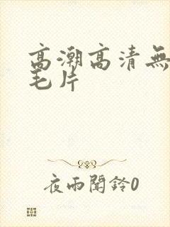 高潮高清无遮挡毛片