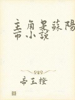 主角是苏阳的都市小说