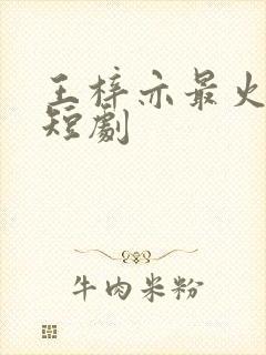 王梓亦最火十部短剧