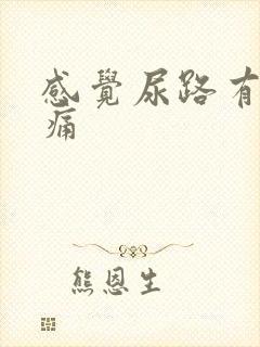 感觉尿路有点胀痛