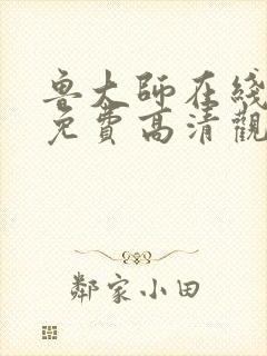 鲁大师在线播放免费高清观看视频下封面