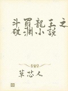 斗罗龙王之九龙破渊小说