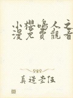 小樱鸣人之夜动漫免费观看全集下载