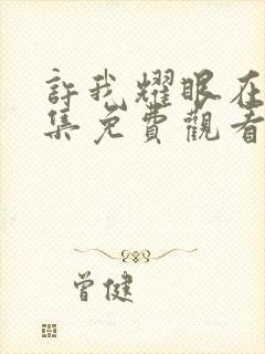 许我耀眼在线全集免费观看电视剧封面