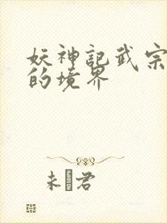 妖神记武宗之上的境界