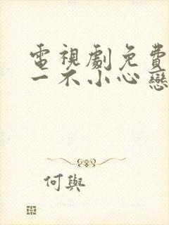 电视剧免费全集一不小心恋爱了