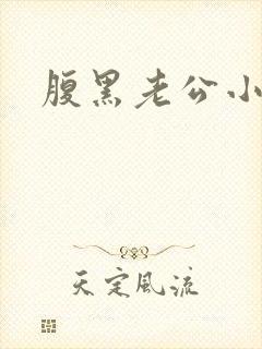 腹黑老公小萌妻