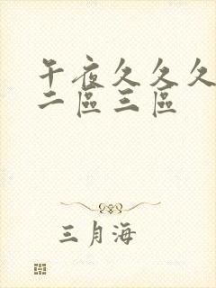 午夜久久久一区二区三区