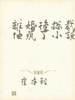 离婚后总裁前夫他疯了小说免费阅读