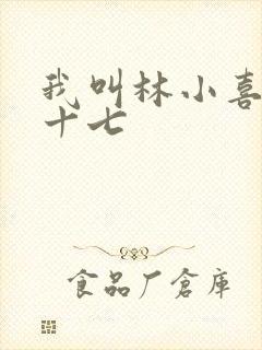 我叫林小喜今年十七封面