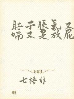 肚子胀气又是打嗝又是放屁封面