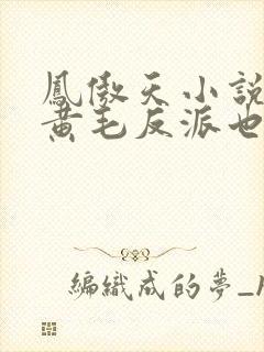 凤傲天小说里的黄毛反派也想幸福小说免费封面
