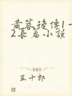 黄蓉后传1一32长篇小说