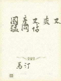 国产又爽又黄又猛网站