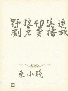 野狼40集连续剧免费播放