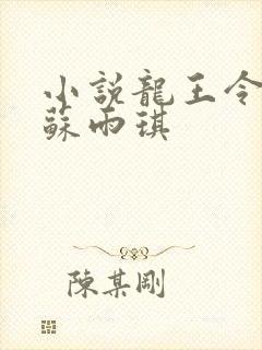 小说龙王令陈平苏雨琪