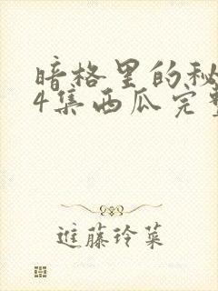 暗格里的秘密24集西瓜完整版免费