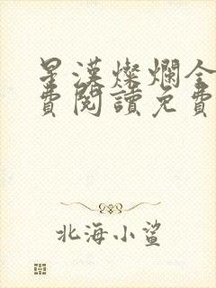 星汉灿烂全文免费阅读免费