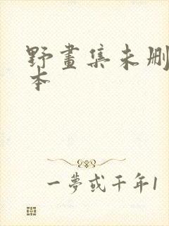 野画集未删减版本