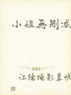 小姐无删减在线