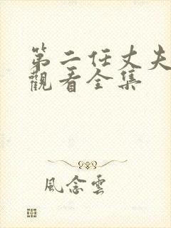 第二任丈夫免费观看全集