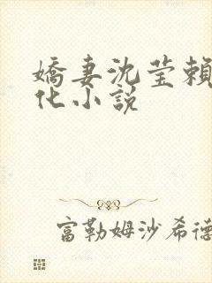 娇妻沈莹赖俊黑化小说