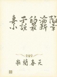 妻子的沦陷曹叔小说最新章节更新时