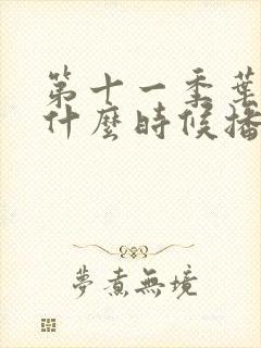 第十一季叶罗丽什么时候播出封面