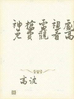 神枪电视剧全集免费观看高清完整版封面