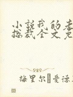 小说我的老婆是总裁全文免费阅读封面