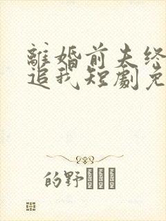 离婚前夫终是想追我短剧免费观看