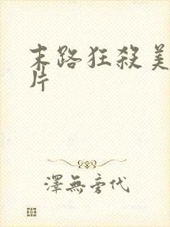 末路狂杀美国影片