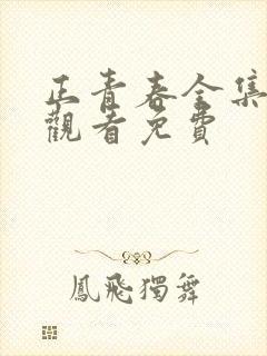 正青春全集在线观看免费